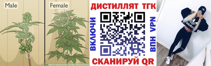 ТГК гашишное масло  мориарти Telegram  Ноябрьск  где найти наркотики 