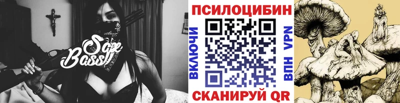 где можно купить   Ноябрьск  Галлюциногенные грибы MAGIC MUSHROOMS 