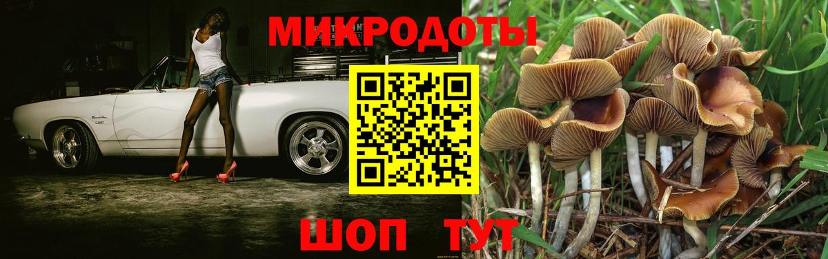 Галлюциногенные грибы Cubensis Ноябрьск