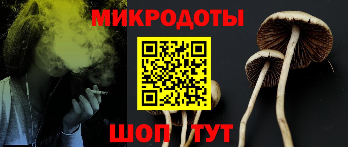 Псилоцибиновые грибы ЛСД  Вход с VPN  Ноябрьск 
